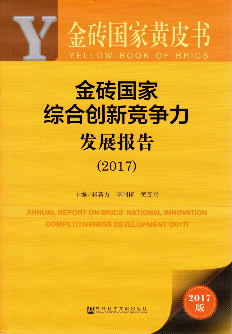 鸡鸡插逼逼金砖国家综合创新竞争力发展报告（2017）